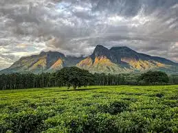 Mount Mulanje Cultural Landscape (2025)
