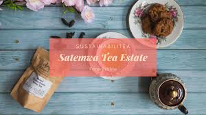 Satemwa Tea Estates